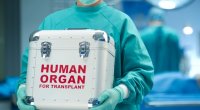 Orqan Transplantasiyası Mərkəzi bu tarixdə açılacaq