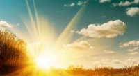 Gələn həftə havanın temperaturu bir qədər yüksələcək - RƏSMİ