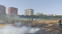 Bakıda bir nəfər parkda qəsdən yanğın törətdi – POLİS SAXLADI - FOTO