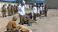 Qurban bayramı münasibətilə Azərbaycan Ordusunda TƏDBİRLƏR - FOTO