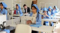 Peşə məktəblərinə sənəd verənlərin SAYI