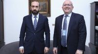Ermənistan xarici işlər naziri Filip Rikerlə görüşüb