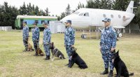 Dövlət Gömrük Komitəsindən ANAMA-ya 5 təlim iti ianə edilib - FOTO 