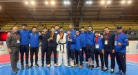 Taekvondoçularımız Niderlandda 2 qızıl və 1 gümüş medal qazandı