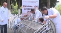 Maldarlıqda süni mayalanmanın hansı rolu var? - VİDEO 