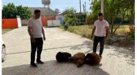 Elman Nəsirov Ərdoğanın qələbəsi ilə bağlı söz verdiyi QURBANLARI KƏSDİ 