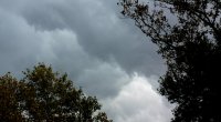 Şimal bölgəsində havanın temperaturu aşağı düşdü
