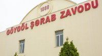 “Göygöl Şərab Zavodu” iflasa doğru gedir – İllik zərər 790 min manata ÇATDI – HESABAT