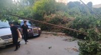 Bakıda ağac aşdı, yol bağlandı - FOTO/VİDEO