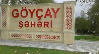 Göyçayda 25 yaşlı oğlan 56 yaşlı kişini əllə vuraraq öldürdü