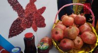 Dörd illik fasilədən sonra Göyçayda Nar Festivalı KEÇİRİLİR - FOTO