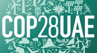 COP28-in rəhbərliyi Azərbaycanı təbrik etdi - FOTO