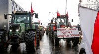 Polşada fermerlər Ukrayna taxılına qarşı mübarizədə YENİ ÜSUL seçdilər