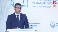 “Ötən il Qız qalasını 350 mindən çox şəxs ziyarət edib” – Şahin Seyidzadə