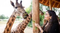 Leyla Əliyeva Berlin zooparkından görüntülər paylaşdı - FOTO