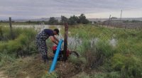 Hacıqabulda su basmış ərazilərə FHN-nin qüvvələri cəlb olunub - FOTO/VİDEO