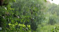 Bölgələrdə qeyri-sabit hava şəraiti nə vaxtadək davam edəcək?