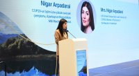 Nigar Arpadarai: Milli Məclisə seçkilərin yeganə 