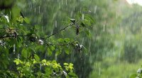 Bölgələrdə yağıntılı hava şəraiti nə vaxta kimi davam edəcək?