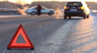 Bu il heyvanların səbəb olduğu yol qəzalarında 4 nəfər dünyasını dəyişib