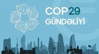 COP29 gündəliyi - 11.11.2024