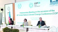 COP29 çərçivəsində keçirilən Parlament Görüşünün ilk günü başa çatdı - FOTO/VİDEO