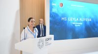 Leyla Əliyeva COP29-da dəniz canlılarına dair panel müzakirələrində iştirak edib - FOTO