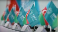 COP29: Yaşıl iqtisadiyyata keçidlə bağlı müzakirələr KEÇİRİLİR - FOTO