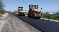 Bakıda yeni yol salınır: 1650 ağac ərazidən köçürüləcək - VİDEO