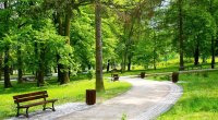 Bakıda yeni park salınacaq - BU ƏRAZİDƏ