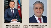 Ceyhun Bayramov Pakistanın Baş nazirinin müavini ilə DANIŞDI