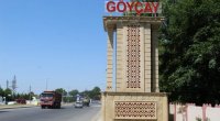 Göyçayda FACİƏ – 63 yaşlı şəxs meyvə ağacından yıxılaraq HƏYATINI İTİRİB