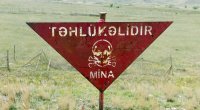 Daha 1358 hektar ərazi minalardan təmizlənib