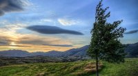 XƏBƏRDARLIQ: Sabahdan güclü külək əsəcək – BU TARİXƏDƏK