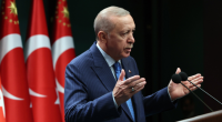 Ərdoğan: “Türkiyədə meşə yanğınlarının 96 faizi insan amilindən baş verib”