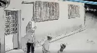 Bu dəfə təlxək uşaqları əyləndirmədi - Qorxunc OLAY - VİDEO
