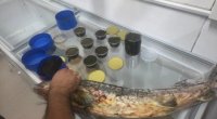 Nərə balığı və 5 kiloqrama yaxın kürünün qanunsuz satışı AŞKARLANDI - FOTO