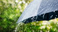 Sabah leysan olacaq, temperatur 5-6 dərəcə enəcək