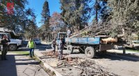 Gəncədə güclü küləyin törətdiyi FƏSADLAR – FOTO 
