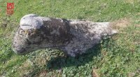 Cəlilabadda tarixi heykələ qarşı VANDALLIQ - FOTO