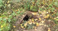 Polşa-Belarus sərhədində gizli tunel AŞKARLANDI