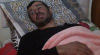“Ağaclıqdan çıxaraq üstümə gəldi” – Ayının hücumun ediyi Azər - VİDEO