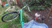 Lənkəranda avtomobil velosipedçini vurdu – Vəziyyəti ağırdır - FOTO