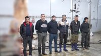 DİN və AQTA-dan BİRGƏ ƏMƏLİYYAT: Xəstə heyvanların ətini satanlar TUTULDU - VİDEO