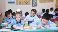 Şagird sıxlığı az olan məktəblərin sayı AÇIQLANDI