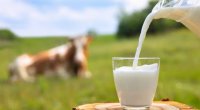 Yağlı süd içənlərə TÖVSİYƏ