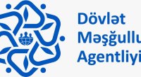 Dövlət Məşğulluq Agentliyi müəllif hüquqlarını pozub - İDDİA