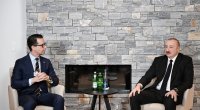 İlham Əliyev Davosda "Carlsberg Group" şirkətinin Baş icraçı direktoru ilə görüşüb - FOTO