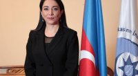 Ombudsman: &ldquo;Naxçıvana edilmiş dron hücumları qonşuluq prinsiplərinə ziddir&rdquo;