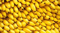 Bu şəxslərə banan yemək olmaz